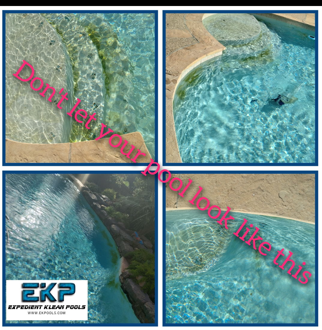 Full Service Pool Maintenance