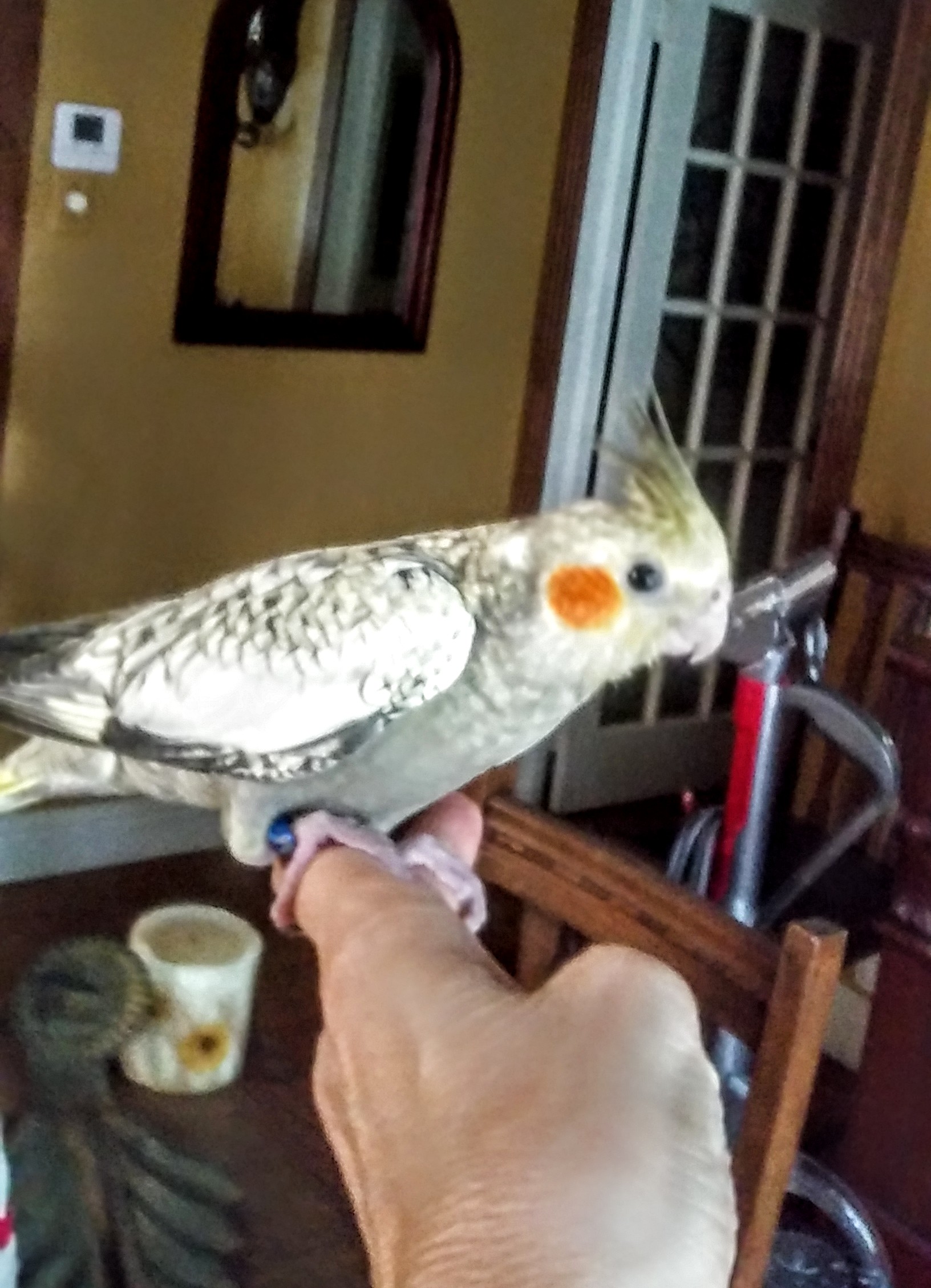 DOWNSIZING – MUST SELL !