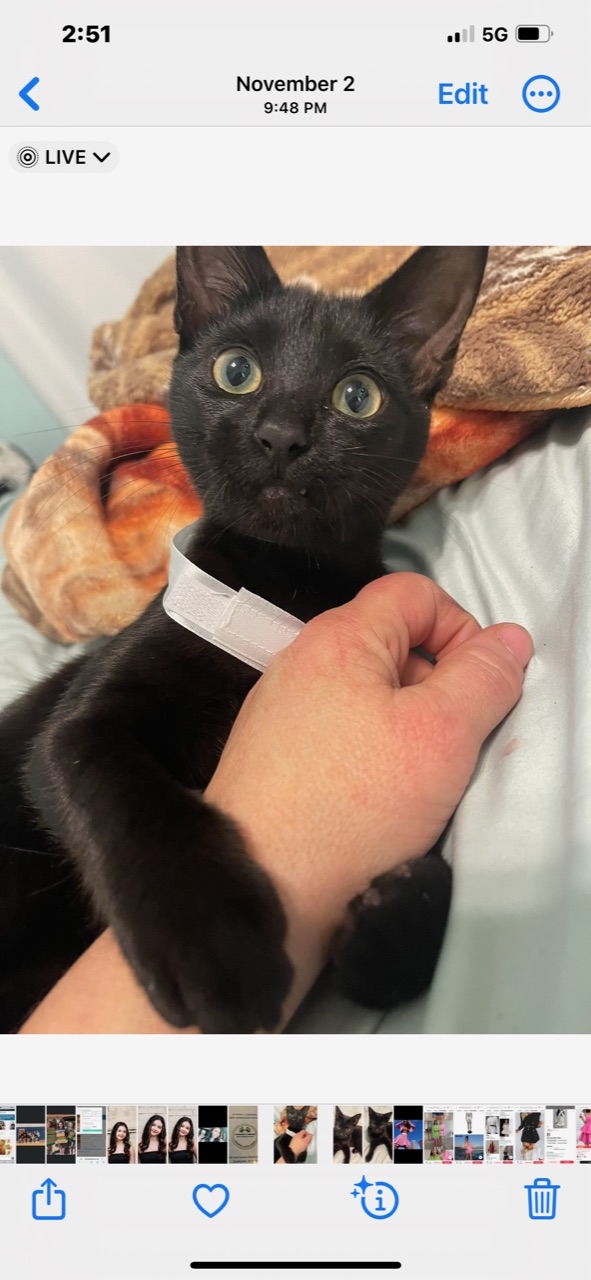 THIS LITTLE GIRL DESPERATELY NEEDS A FOREVER HOME