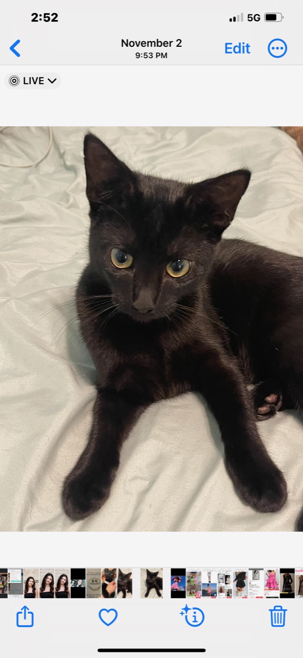 THIS LITTLE GIRL DESPERATELY NEEDS A FOREVER HOME