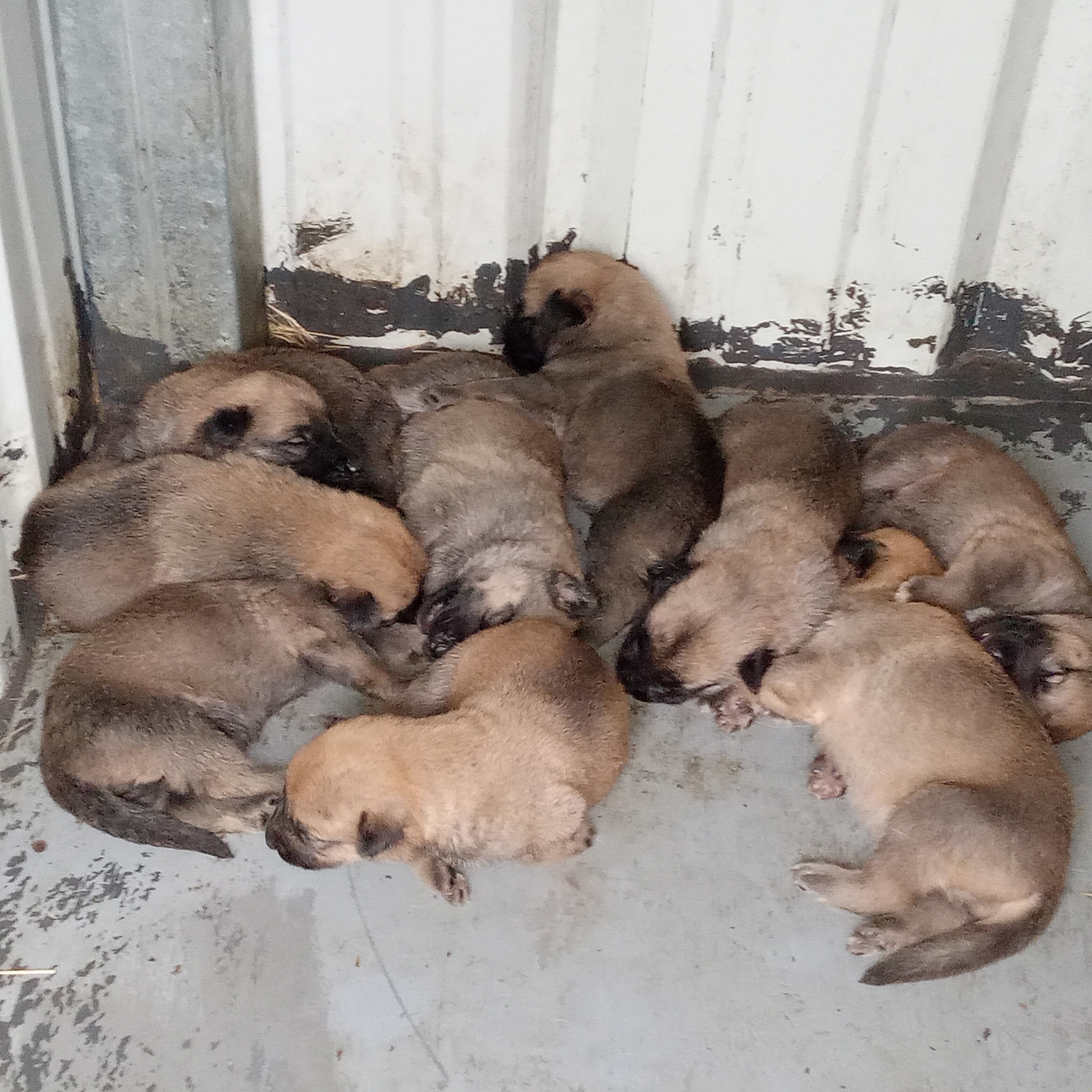 Private: Yours 1 & ONLY !!!