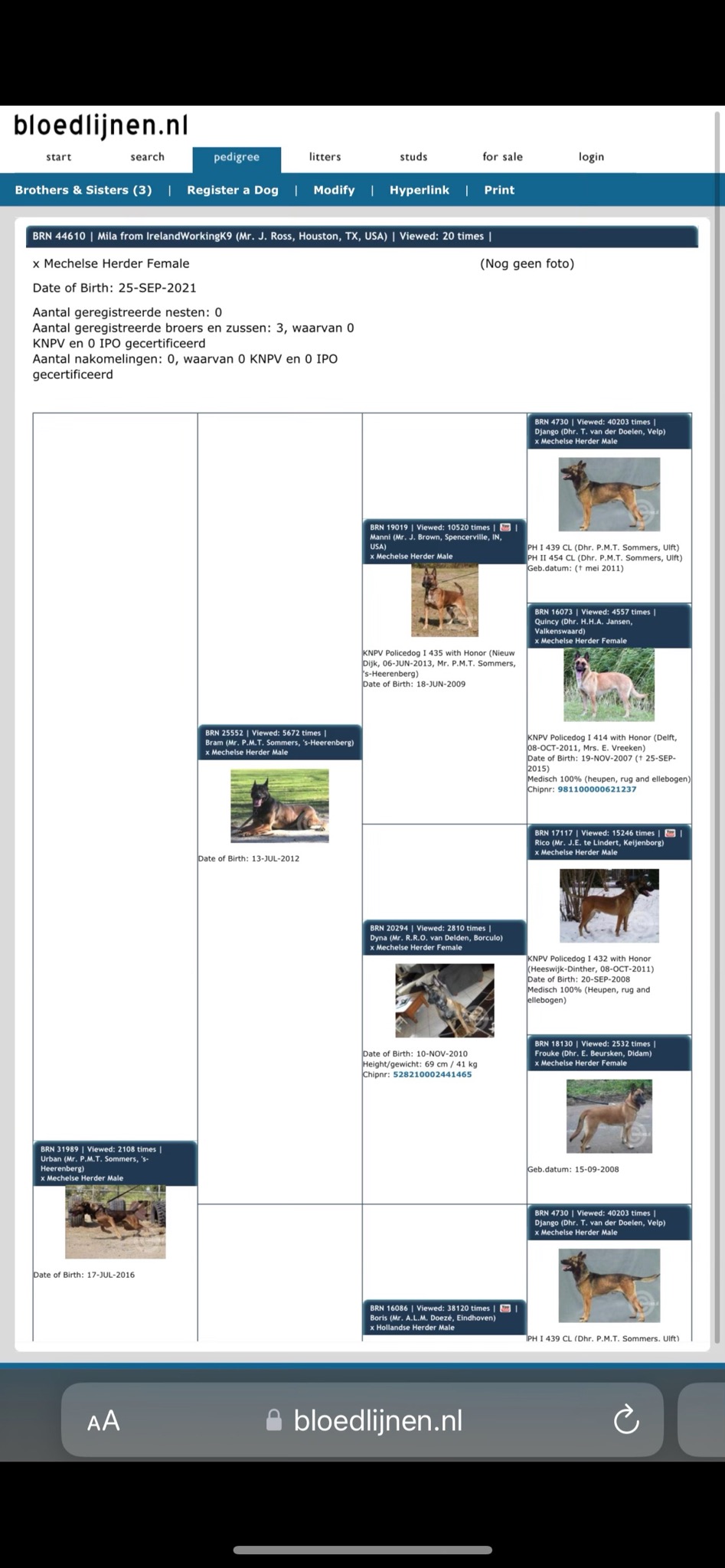 Private: Yours 1 & ONLY !!!