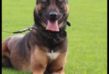 Private: Yours 1 & ONLY !!!