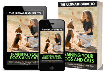 UNLOCK THE SECRETS OF PERFECT PET TRAINING