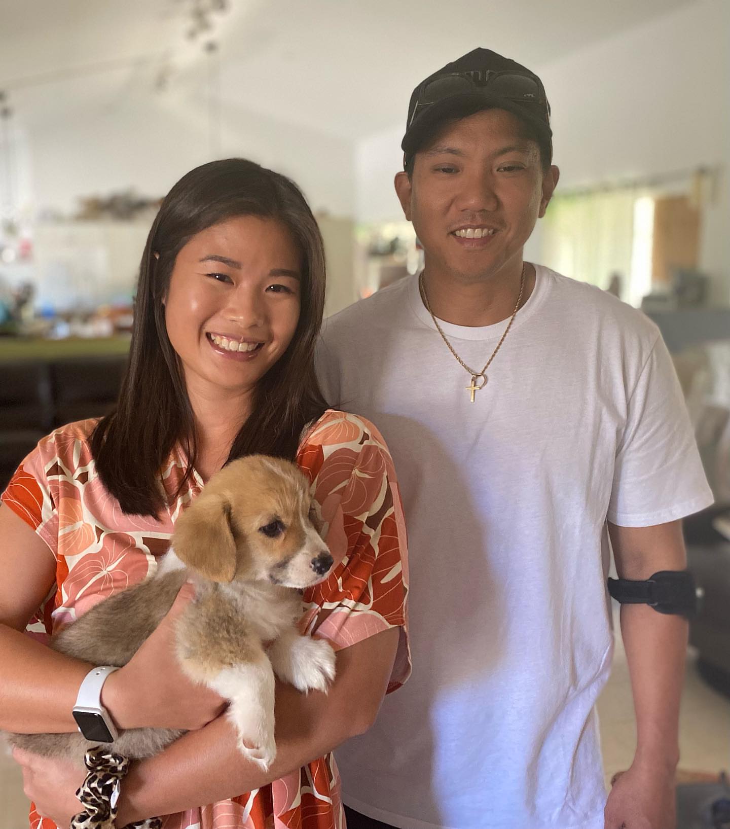 Private: Cute Corgi Puppies For Adoption…………