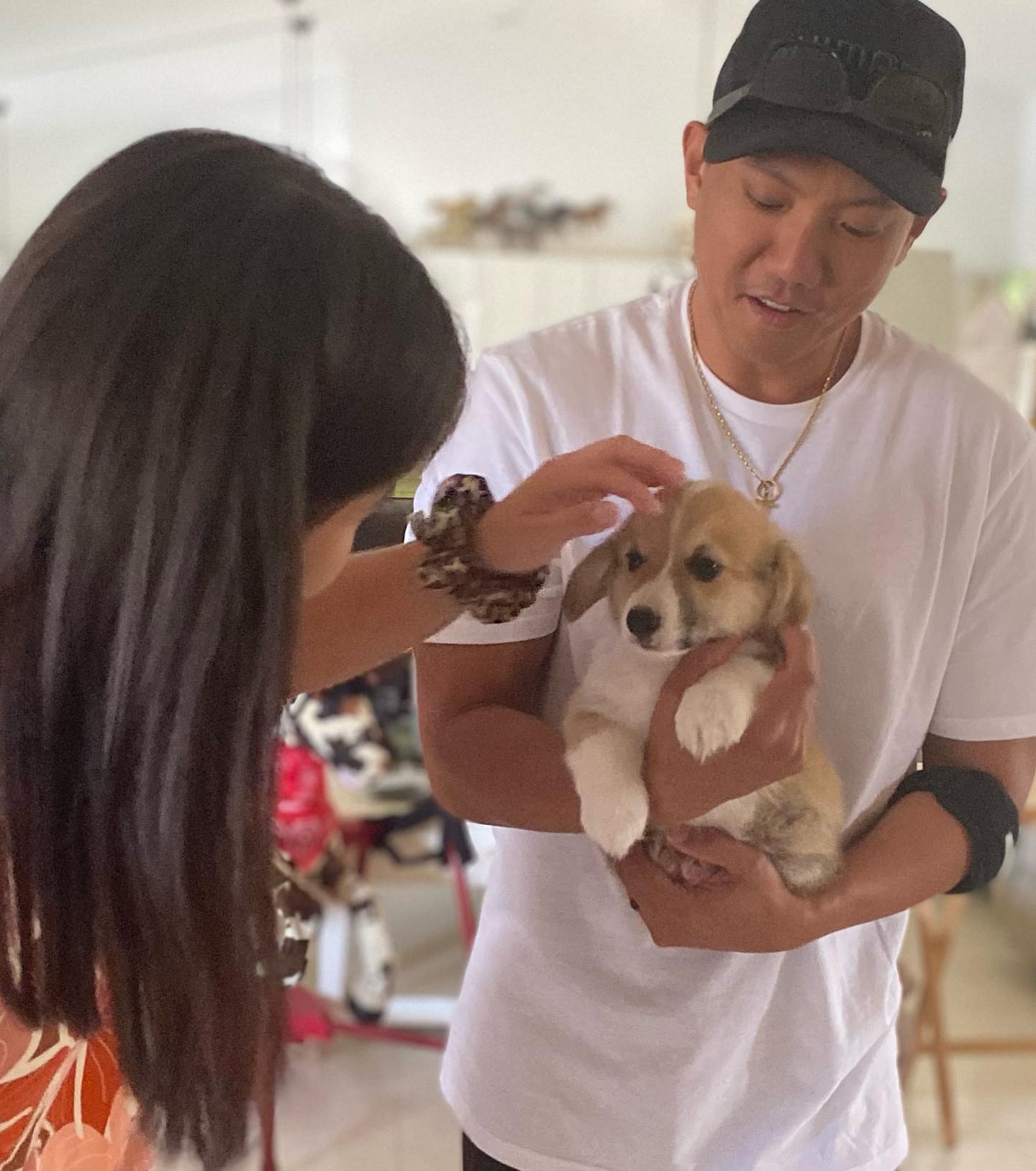 Private: Cute Corgi Puppies For Adoption…………