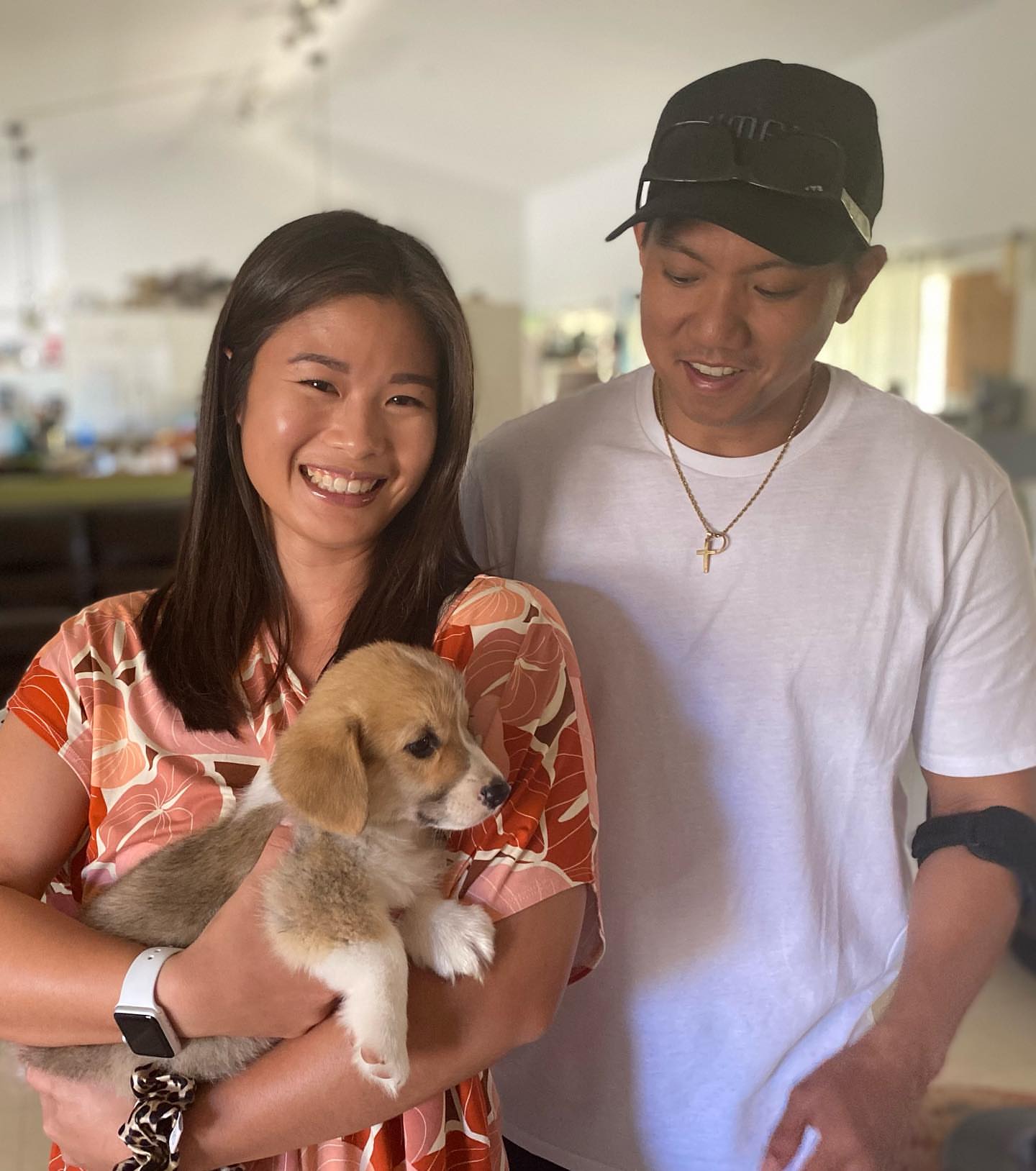 Private: Cute Corgi Puppies For Adoption…………