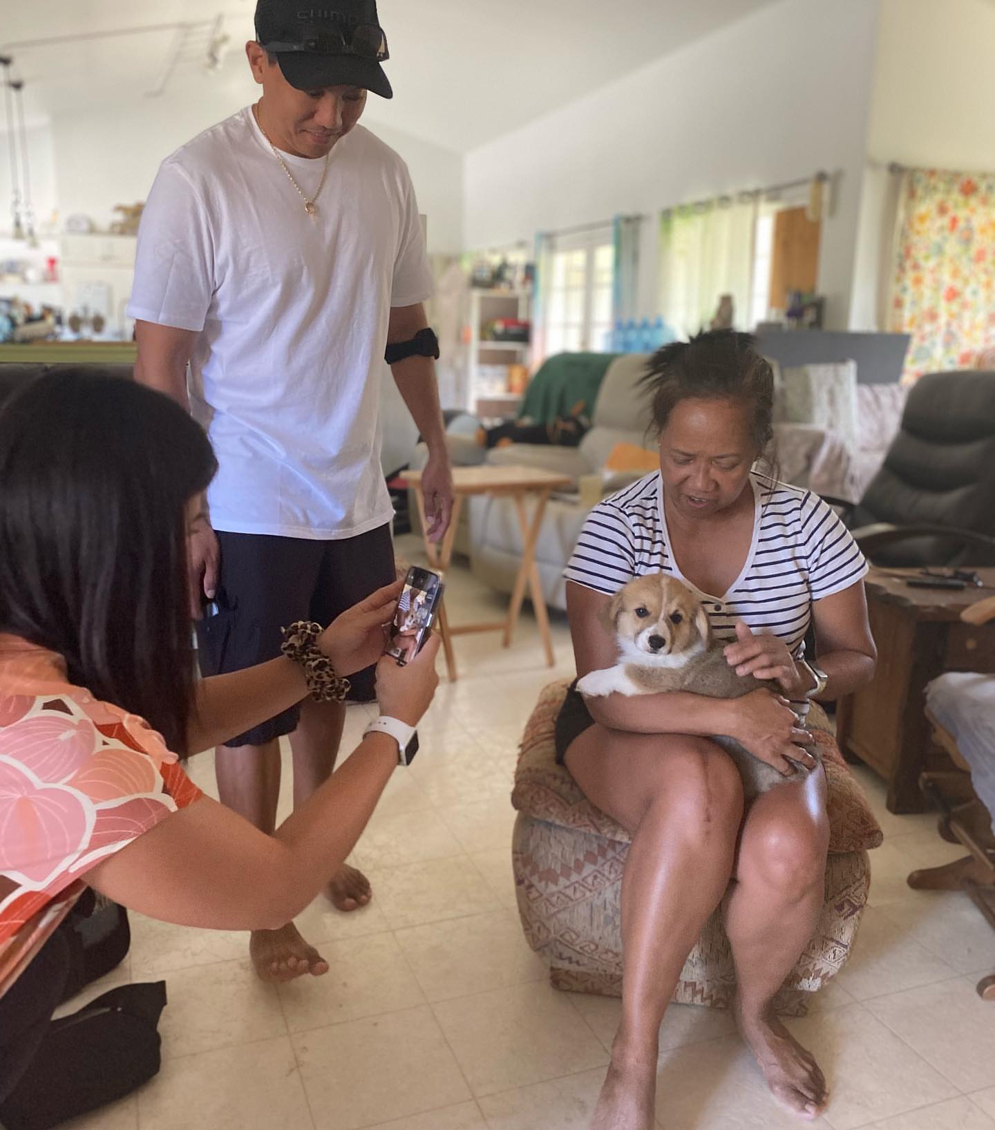 Private: Cute Corgi Puppies For Adoption…………