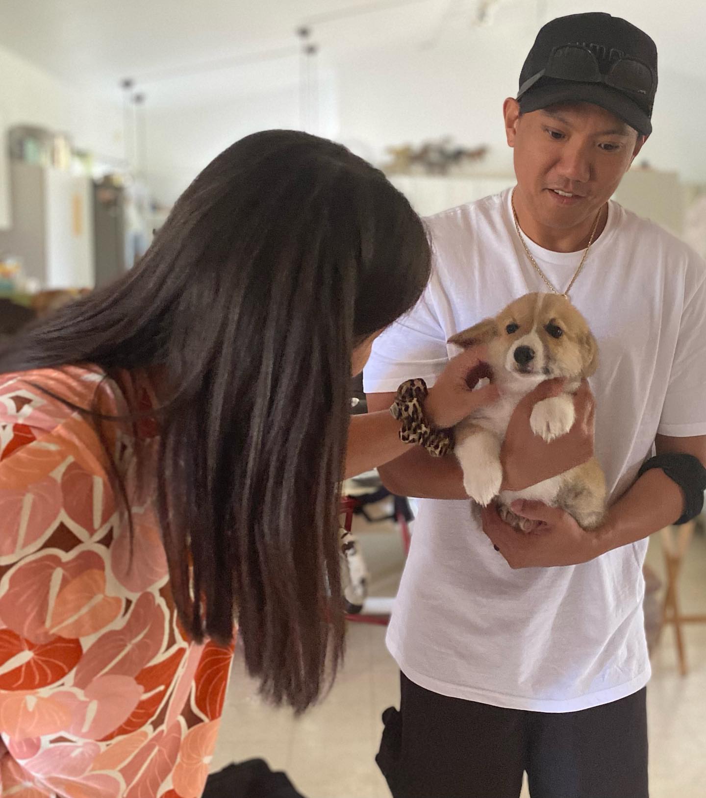 Private: Cute Corgi Puppies For Adoption…………