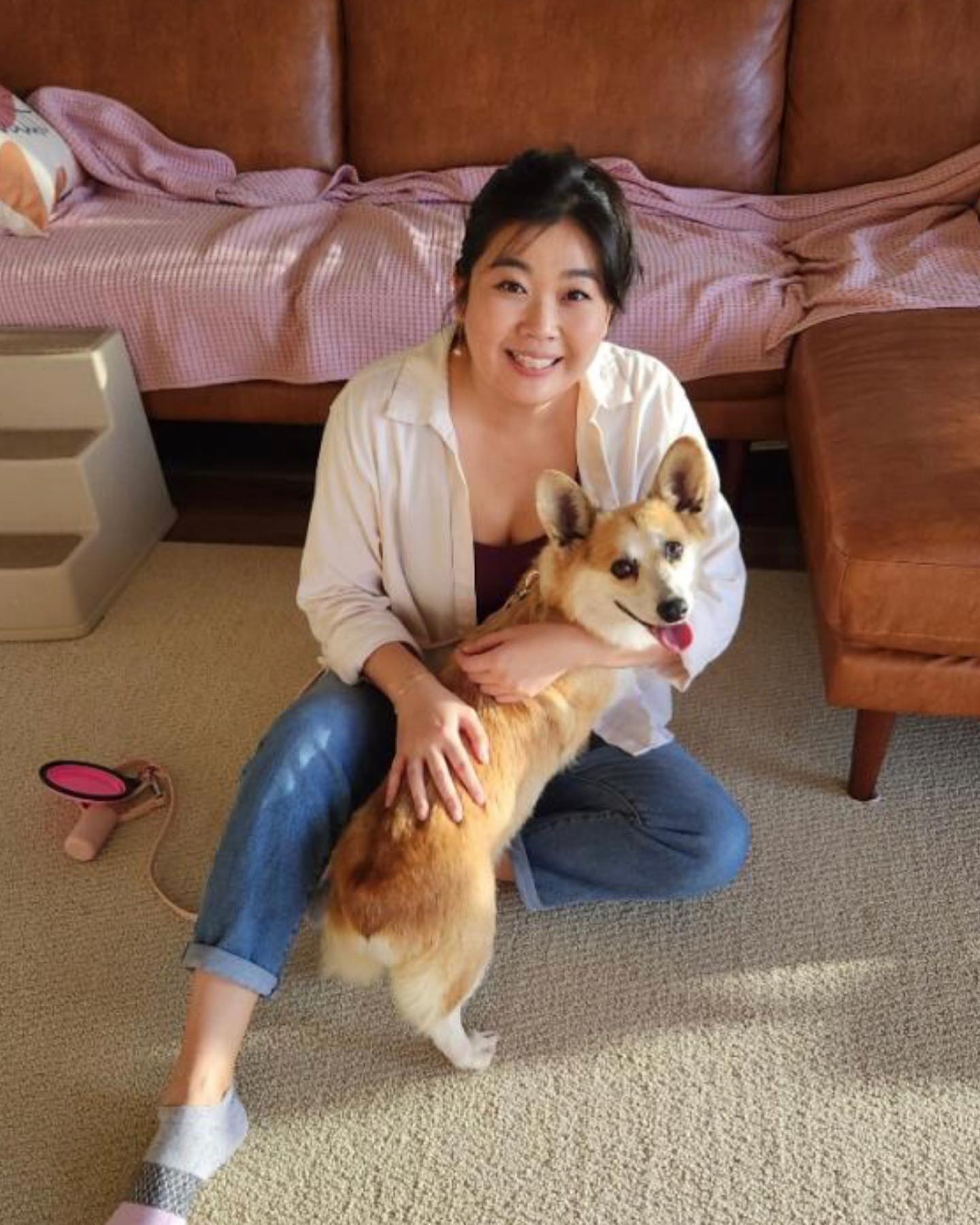 Mini corgi for sale san antonio