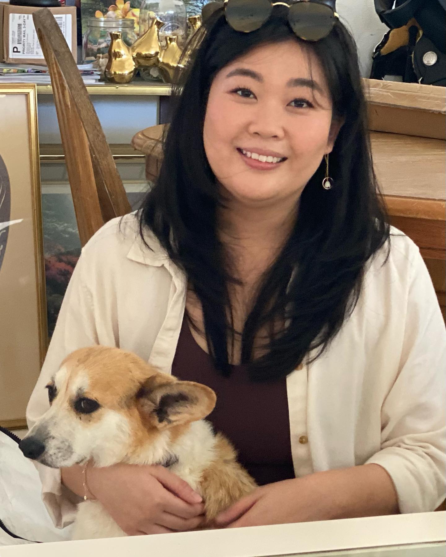 Mini corgi for sale san antonio