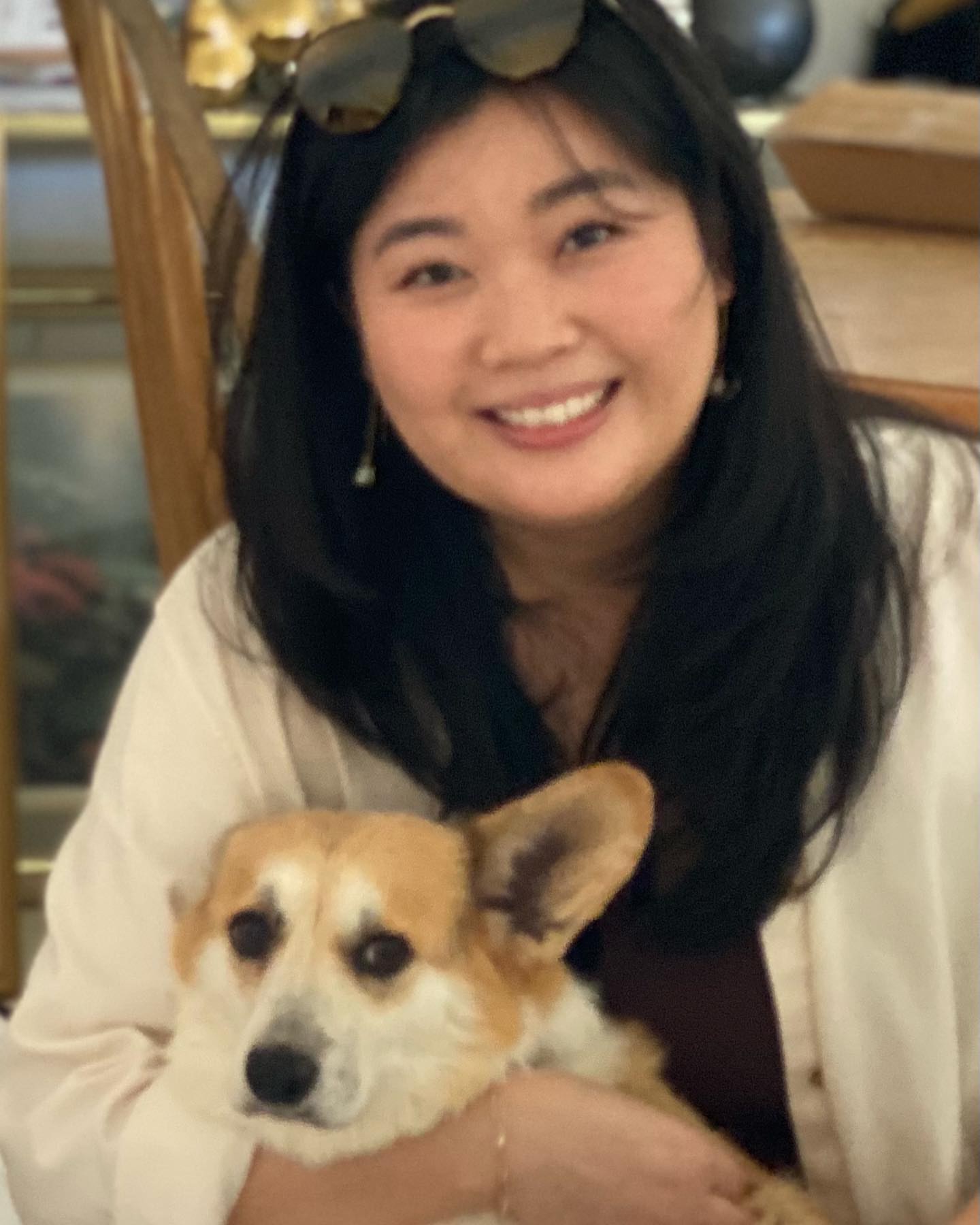 Mini corgi for sale san antonio