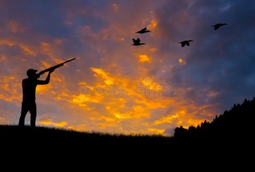 DOVE HUNTS