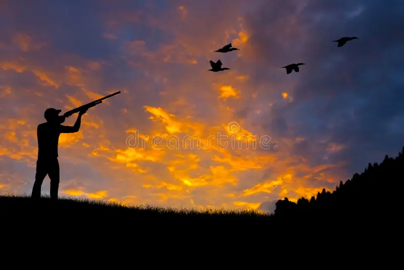 DOVE HUNTS